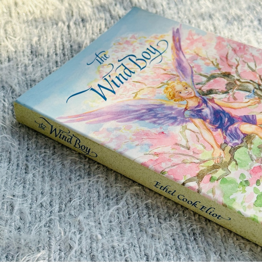 The Wind Boy Ethel Cook Eliot 🧚‍♂️ Paperback Fantasy Fiction Book